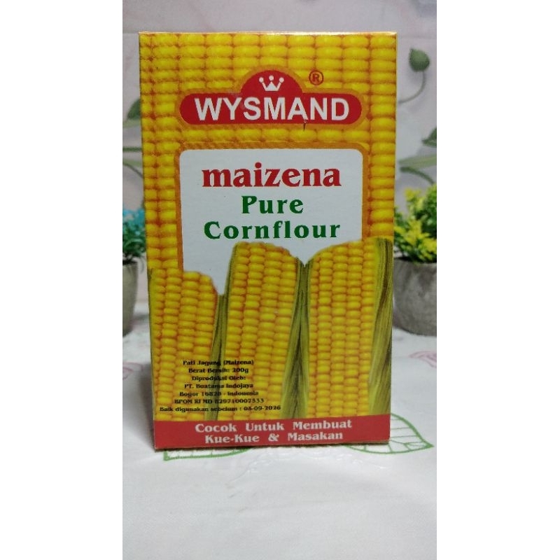 

wysmand tepung maizena