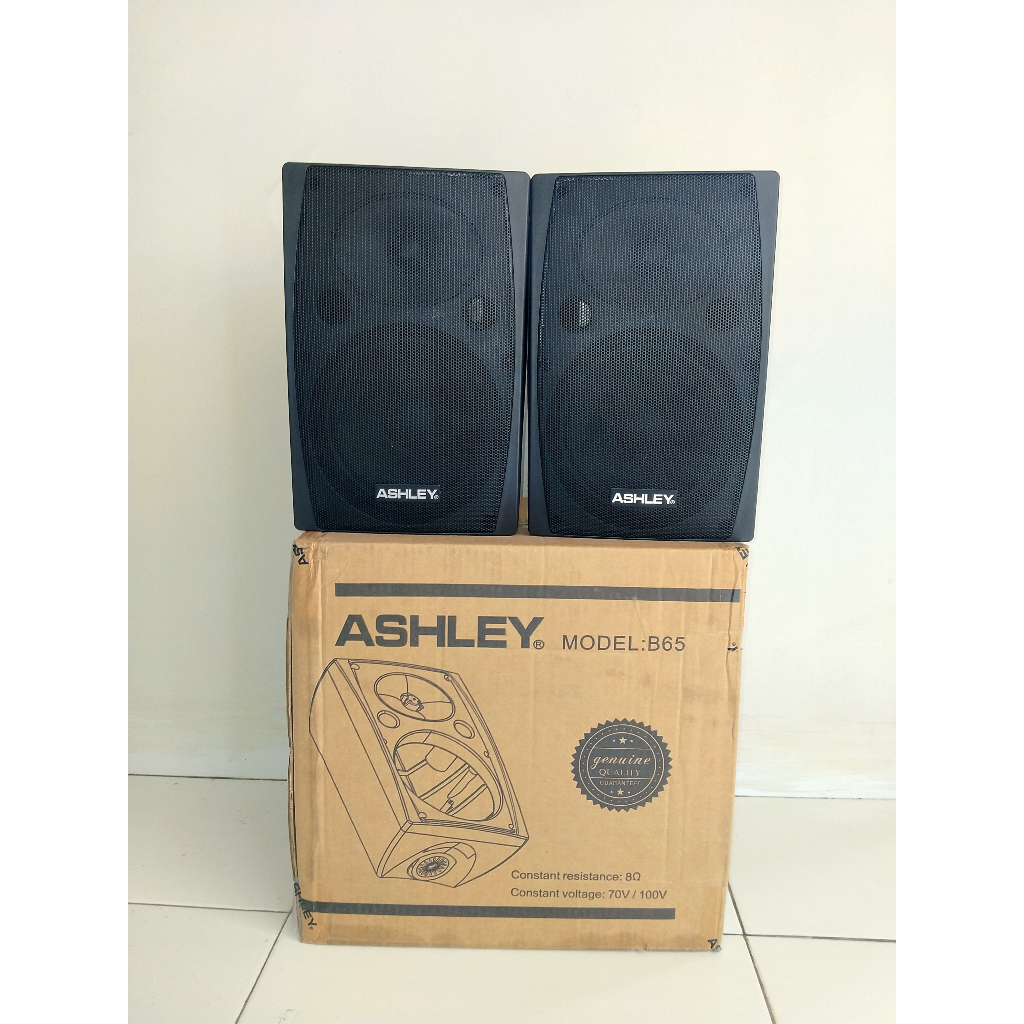 SPEAKER PASIF ASHLEY 6.5" B65 / B-65 BLACK