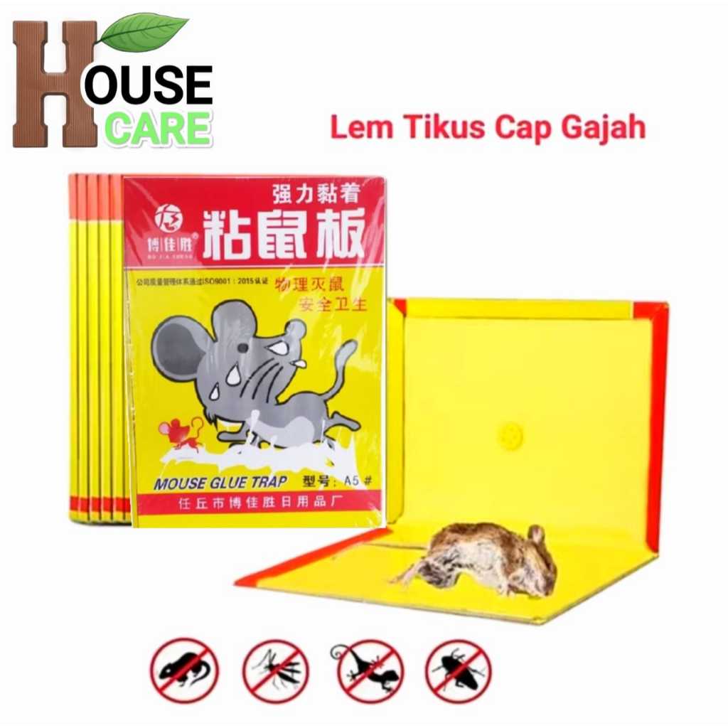LEM PERANGKAP TIKUS AMPUH  JEBAKAN TIKUS LEM / ALAT TANGKAP TIKUS / LEM TIKUS / LEM TIKUS AMPUH / LE