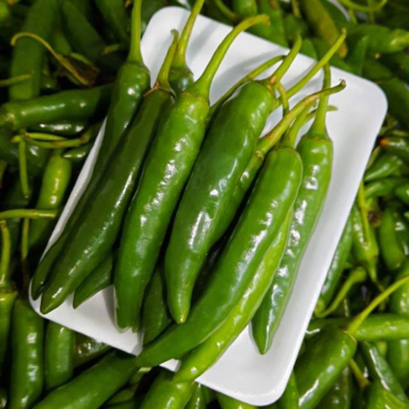 

cabe hijau besar 1 kg / cabe hijau fresh segar