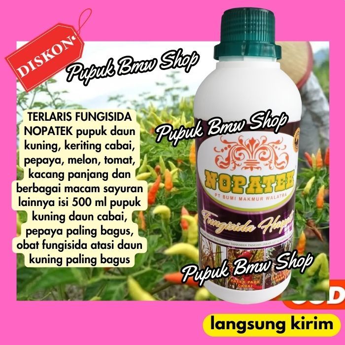 NOPATEK OBAT HAMA PENYAKIT DAUN KUNING KERDIL PADI PALING AMPUH Bisa untuk Daun Kuning Pada Semua Je