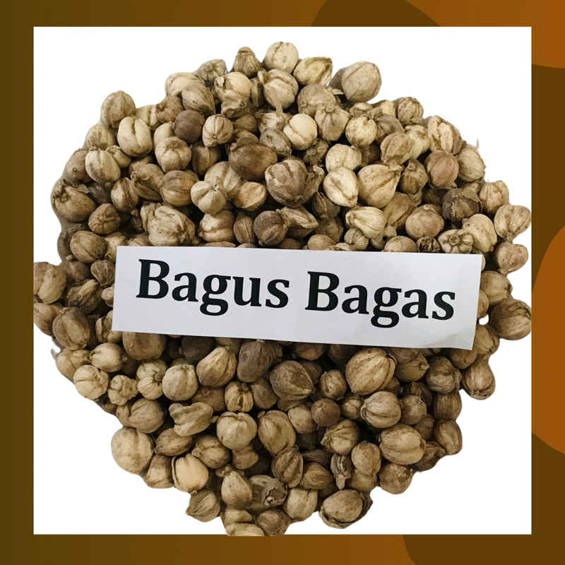 

25gr Kapulaga Kapolaga Cardamom Kapol MURNI Kering Herbal JSR Obat Hipertensi Bumbu Rendang Gulai