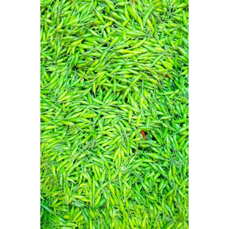 

Cabe rawit ijo ekstra pedas fresh 500gr