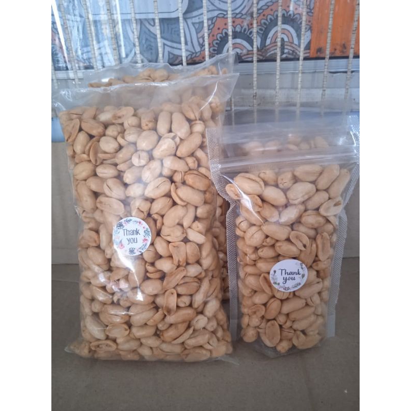 

Kacang Bawang Super