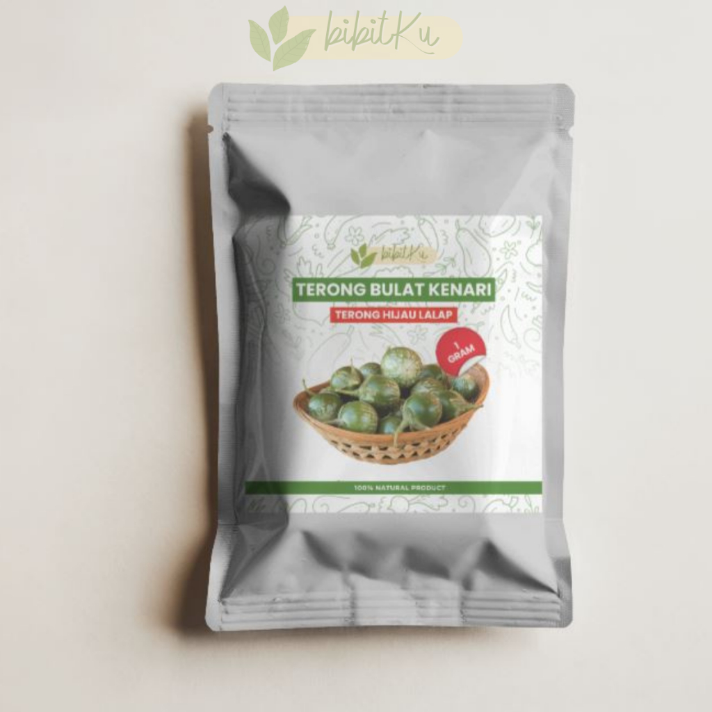 BENIH/BIBIT TERONG LALAP HIJAU BULAT KENARI TERONG BULAT HIJAU TERONG LALAP TERONG LALAP SUNDA