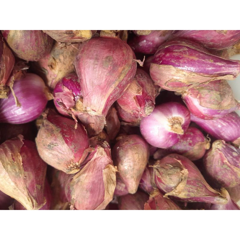 

Bawang Merah Brebes Super 1kg