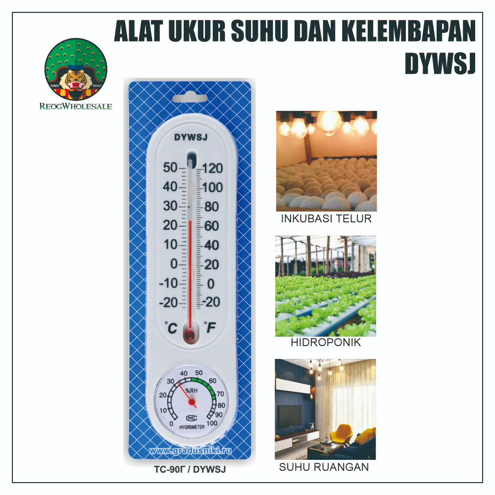 Termometer Higrometer Ruang Thermometer Hygrometer Analog Raksa DYWSJ