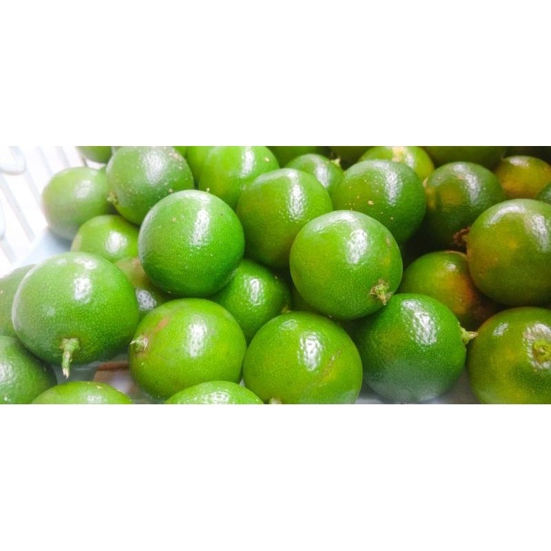 

1kg jeruk sonkit seger