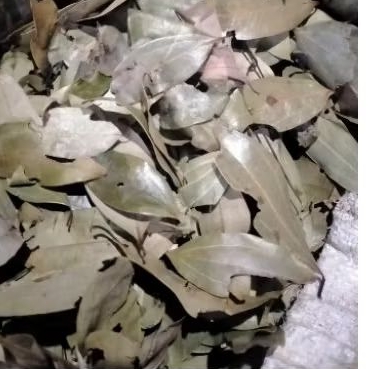 

Daun kayu manis kering 1kg
