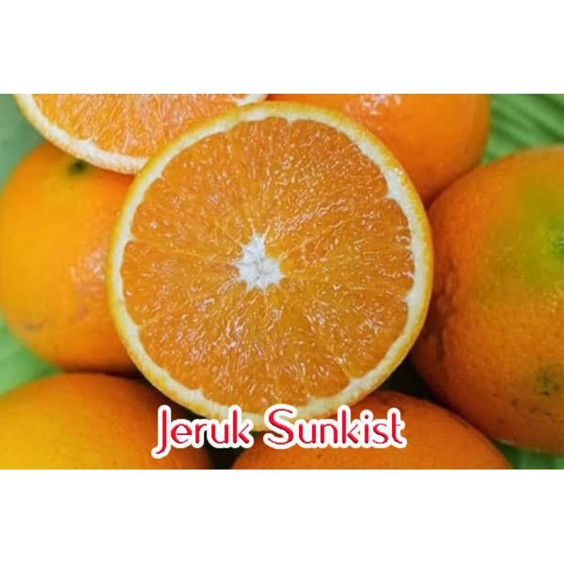 

Buah Jeruk Sunkist (Buah Segar)