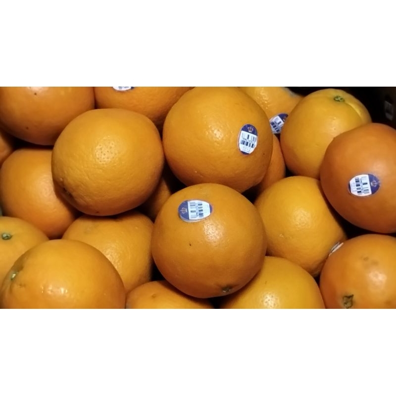 

Jeruk Sunkist Navel 1kg - Full Manis