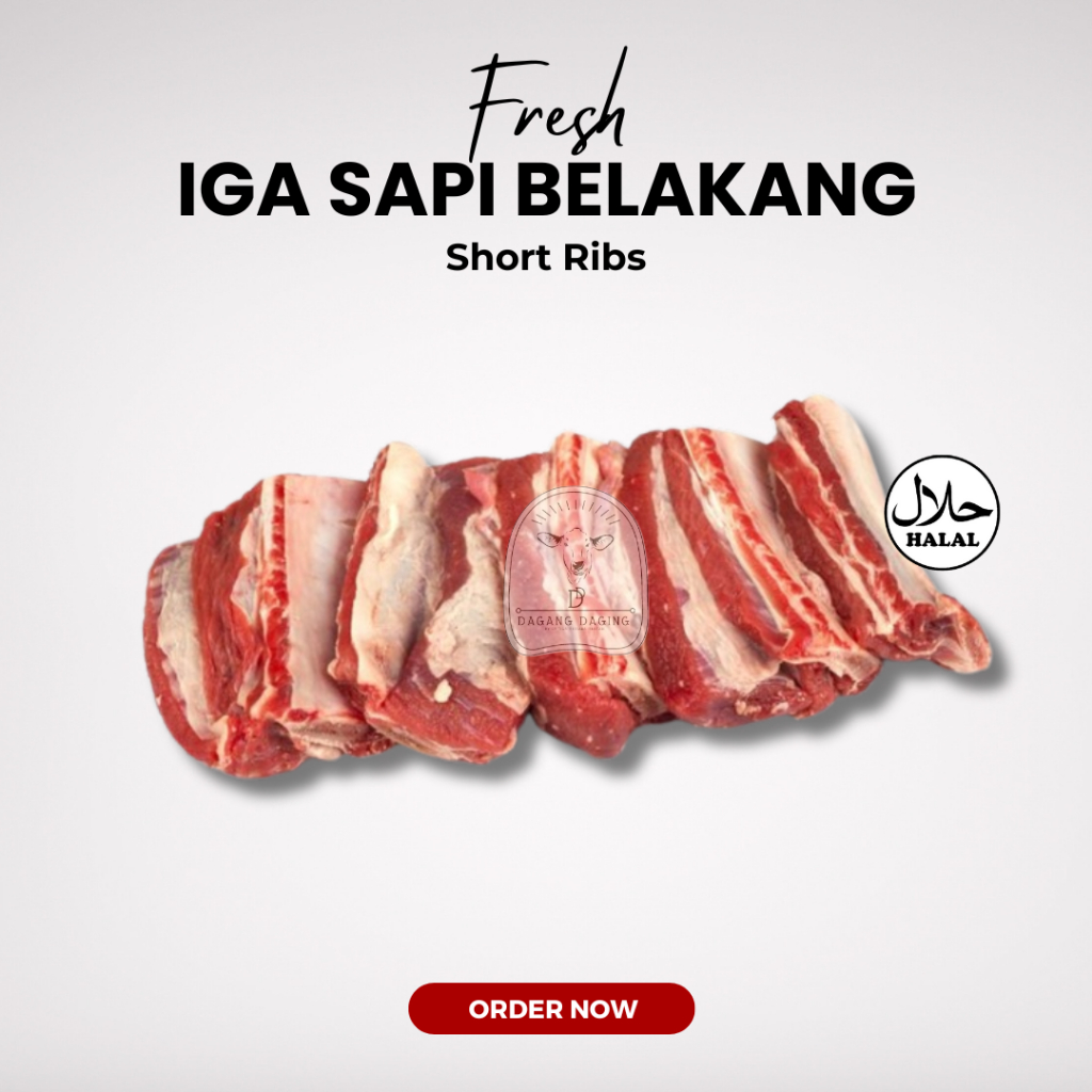 

Daging Sapi Iga Belakang Backribs Konro Fresh Halal 1kg