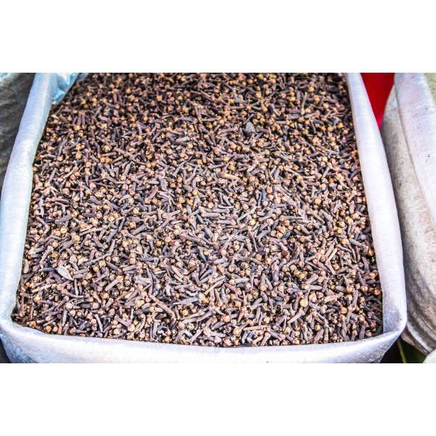 

Cengkeh Kering ( Dry Clove )