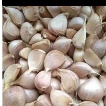 

Bawang putih kating bersih 250gr