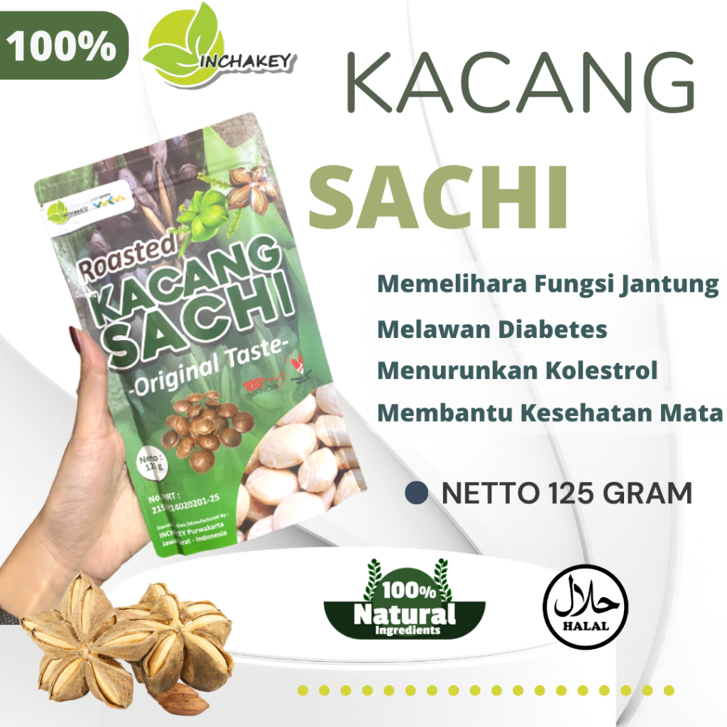

Kacang Sacha Inchi Matang Kacang Chestnut Sachi Inchi Kesehatan Tubuh, Kacang Sancha Inchi