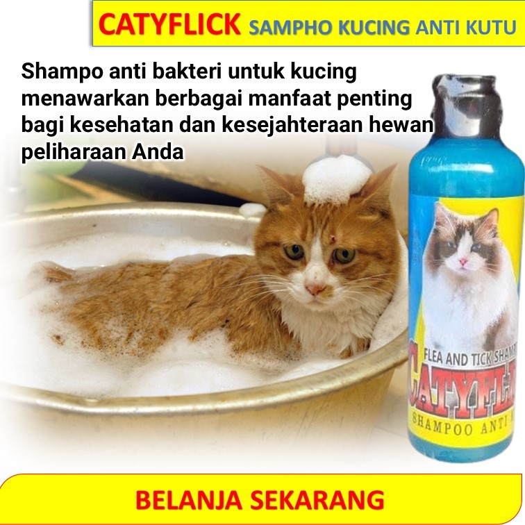 shampo kucing / shampo kucing anti jamur / shampo kucing anti rontok / shampo kucing penumbuh bulu