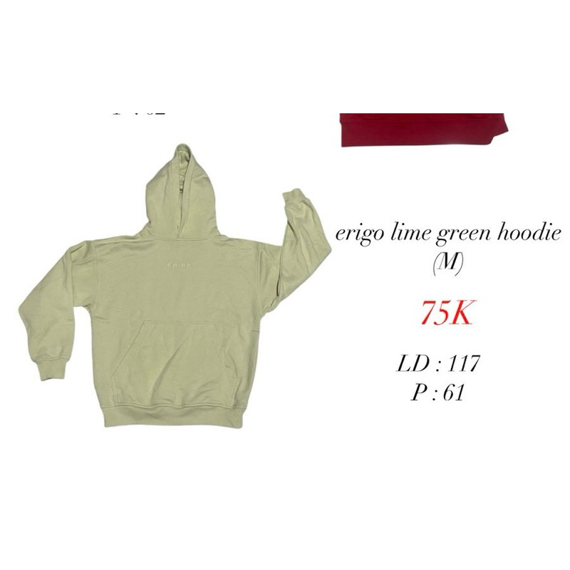 Preloved Erigo Line Green Hoodie