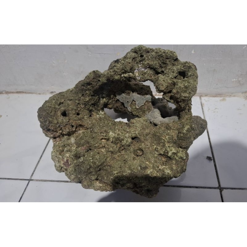 batu karang laut live rock