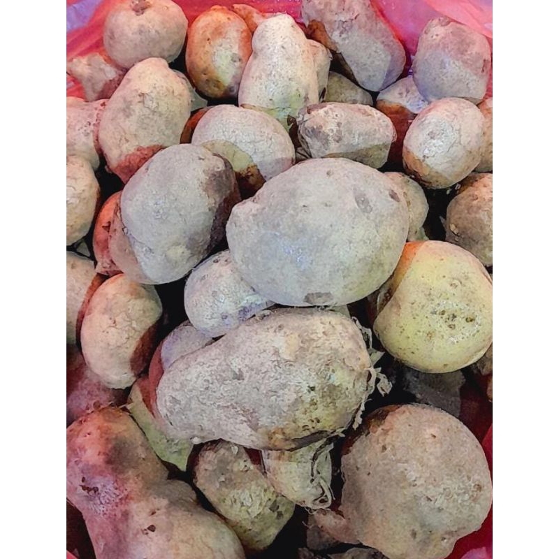 

Kentang daerah ukuran sedang/besar 1kg