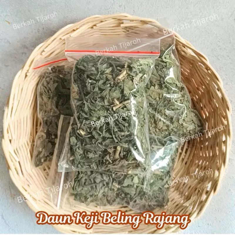 

Daun Keji Beling Kering Herbal Batu Ginjal Diabetes