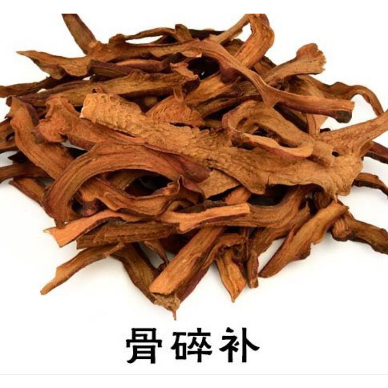 

Gu Sui Bu Pian/Drynaria Fortunei