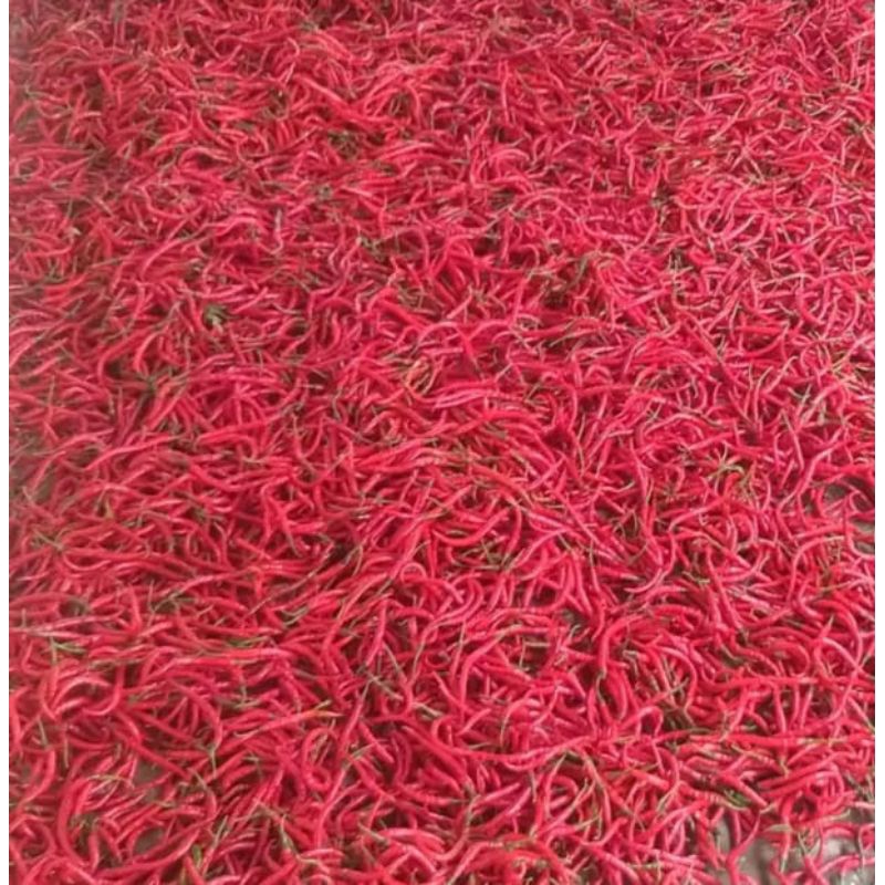 

CABE MERAH KERITING 250g