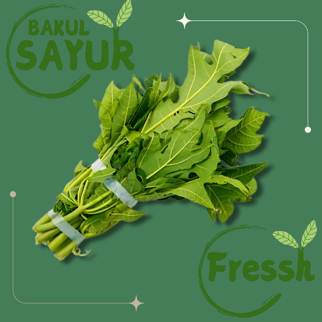 

Daun Pepaya Segar Per Ikat | Bakul Sayur Expres