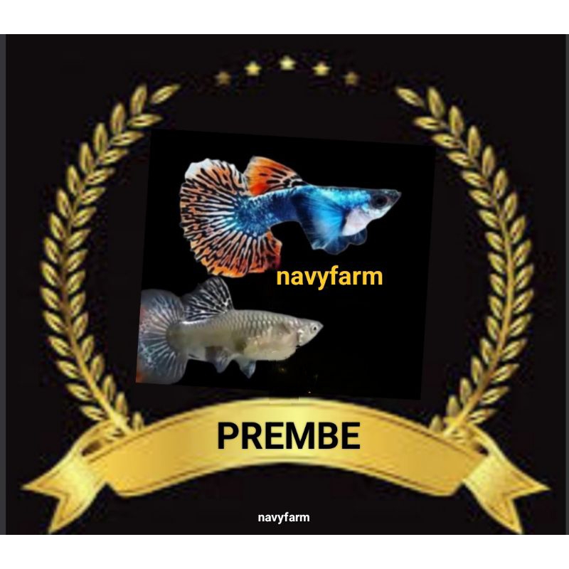 

STIKER UNIK GUPPY PREMBE