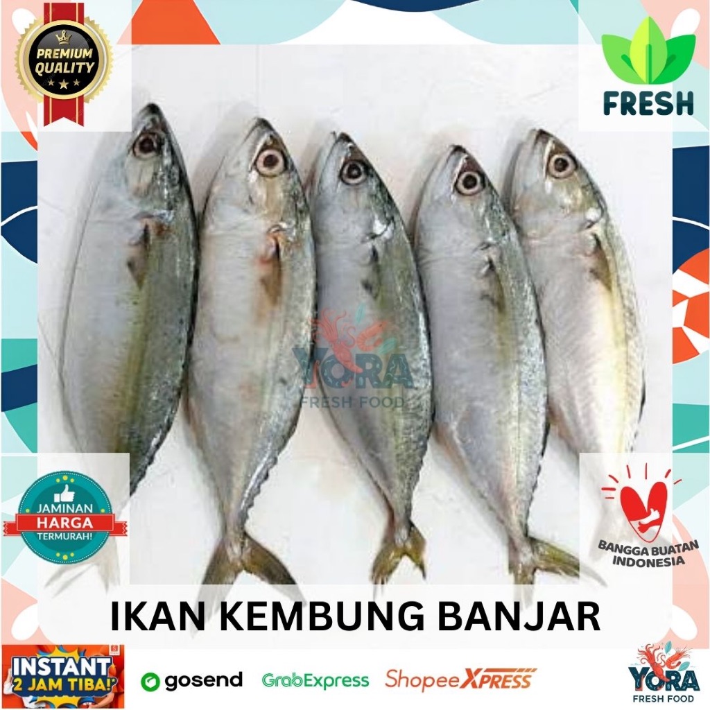 

IKAN KEMBUNG BANJAR 500gr PREMIUM FRESH FROZEN INSTAN
