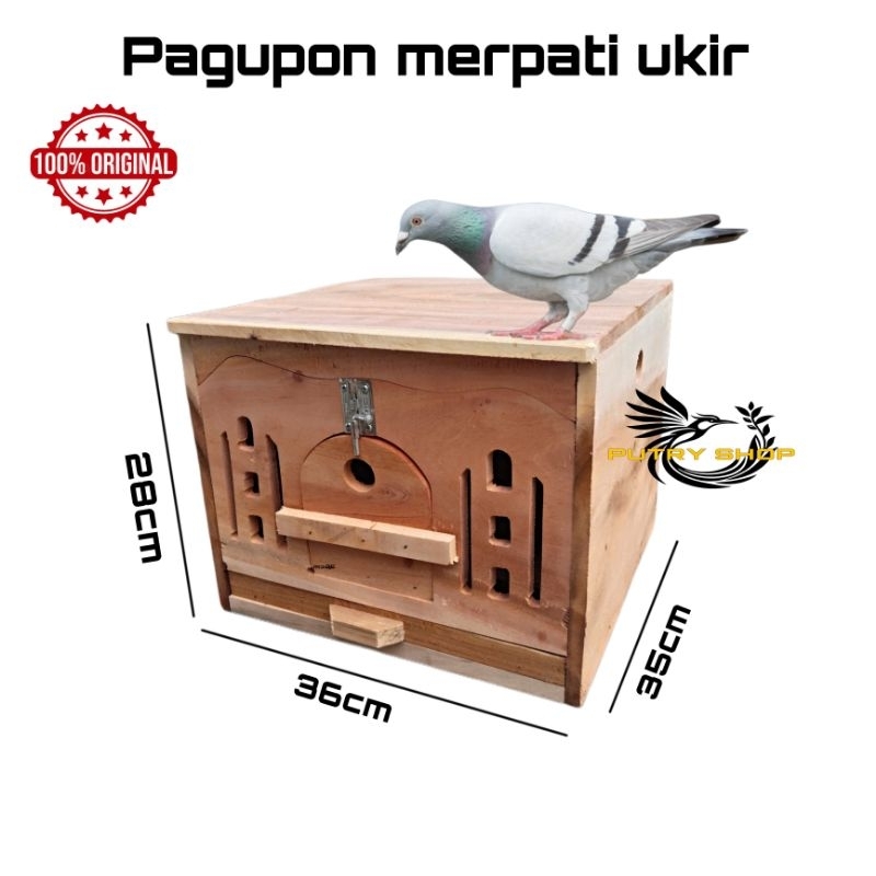 Gupon merpati ukir ukuran sedang