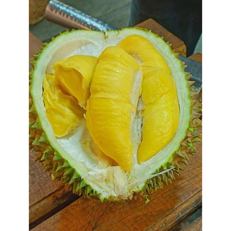 

DURIAN MONTONG 500GRAM KUPAS PREMIUM BERKUALITAS