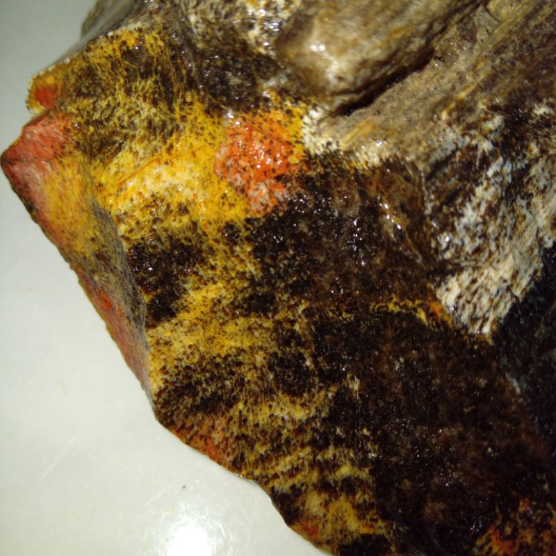 Original Batu Motif Bulu Macan Sumatera Unik & Langka