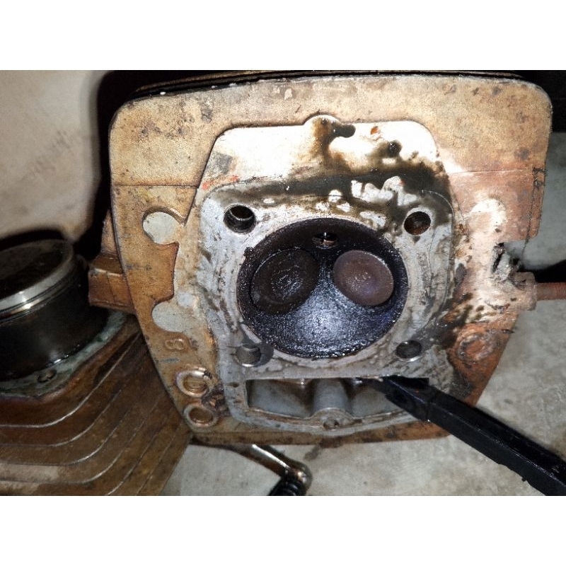 Kop Head Tiger Revo isian klep ori copotan