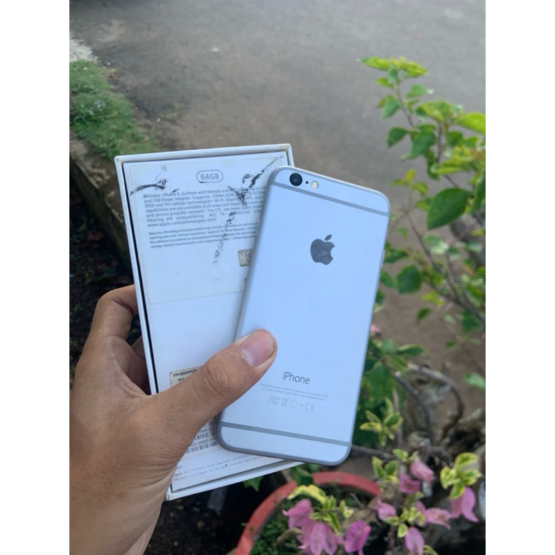 ip 6 64gb (lock icloud)