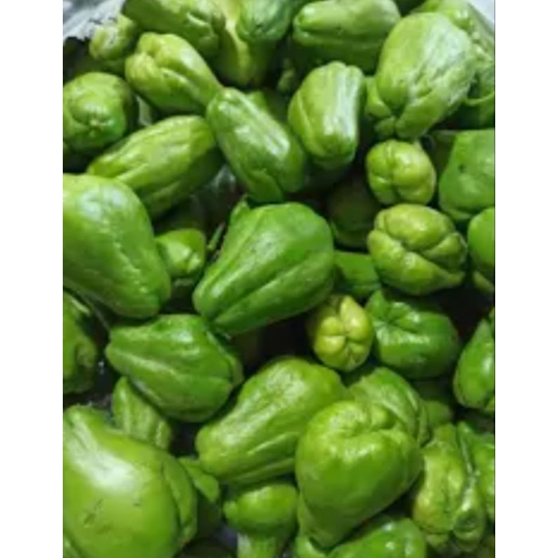 

Labu Siam Fresh 1 kg