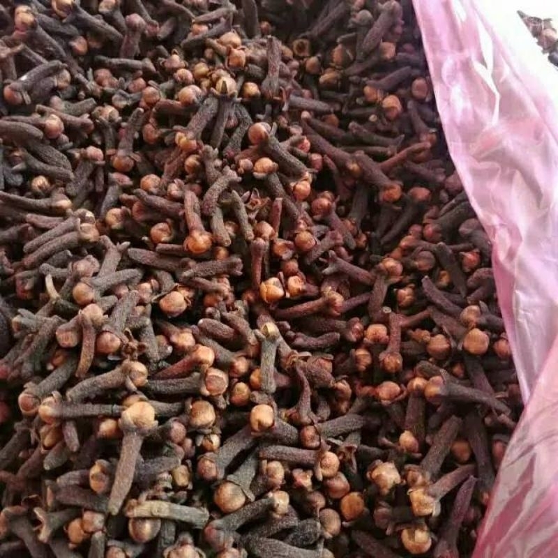 

50 gram CENGKEH Kering PREMIUM/Rempah/Bumbu masak/Bumbu dapur