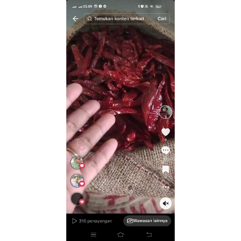 

cabe teja super pedas