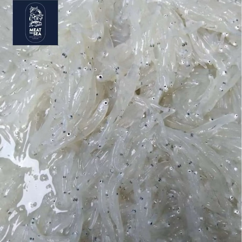 

DA [IKAN SEGAR] Teri Nasi Basah Kualitas Premium MPASI Kadar Air 5-10%