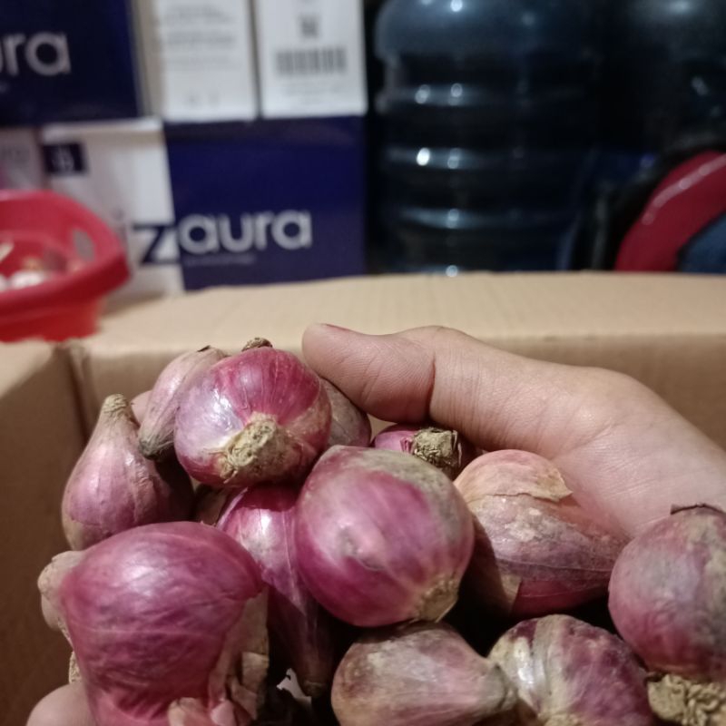 

bawang merah besar 1 kg