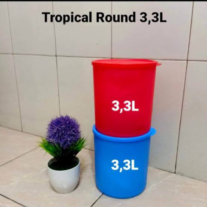 Summer Fresh large 2 Pcs