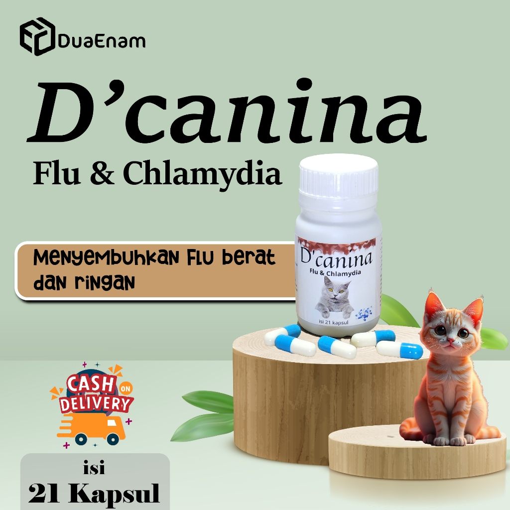 DUAENAM D'CANINA OBAT FLU KUCING 21 Kapsul untuk flu Berat dan menahun Kucing