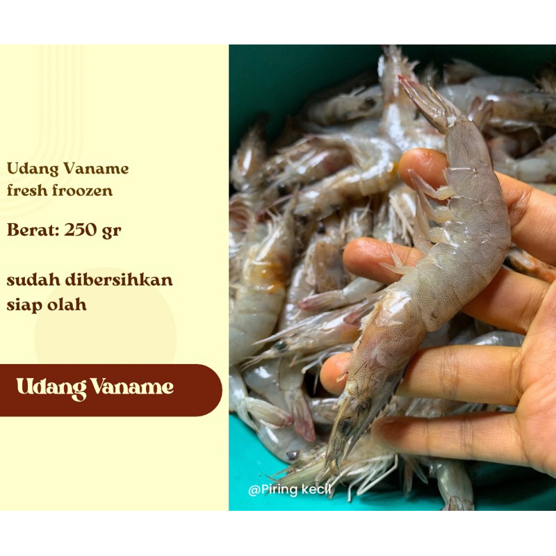 

udang vaname / udang froozen