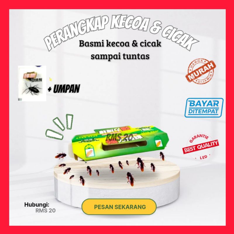lem perangkap  cicak kecoa serangga lem jebakan cicak kecoa serangga pengusir cicak kecoa serangga a