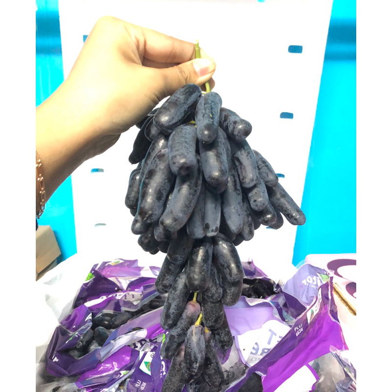 

Anggur Sweet Sapphire Aust Kangara Gold /kg