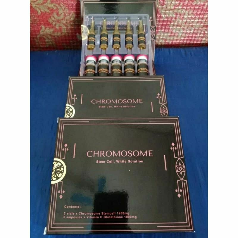 1 box chromosome stemcell original bersegel