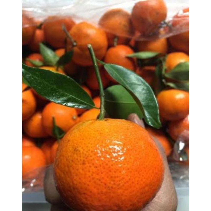 

Jeruk Santang | Tangerin manis | Santang tangerin kiloan