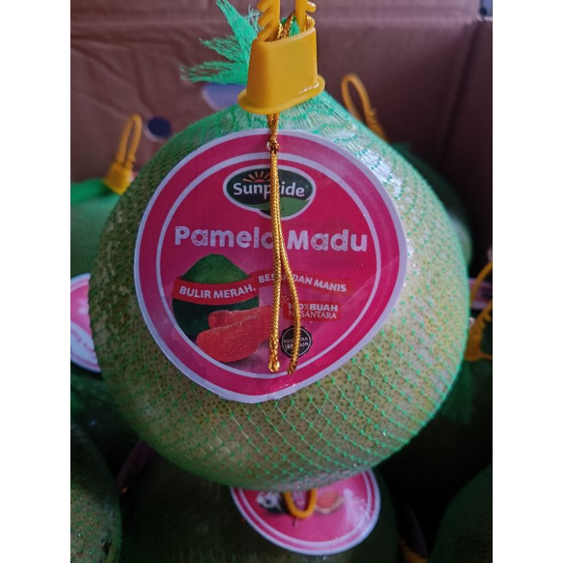 

Buah Jeruk Pamelo Madu /Pamelo Sunpride