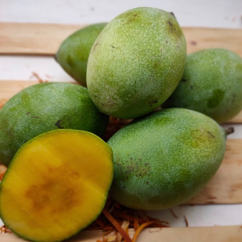 

PROMO Mangga Manalagi Fresh 1kg Bogor