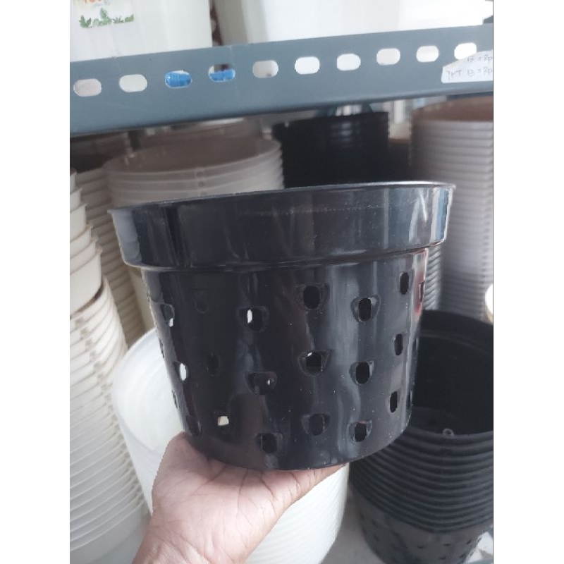 Kyoolaa Pot Dendro 20 (Lusinan )Anggrek Lubang Banyak Pot Plastik Pot Gantung Anggrek
