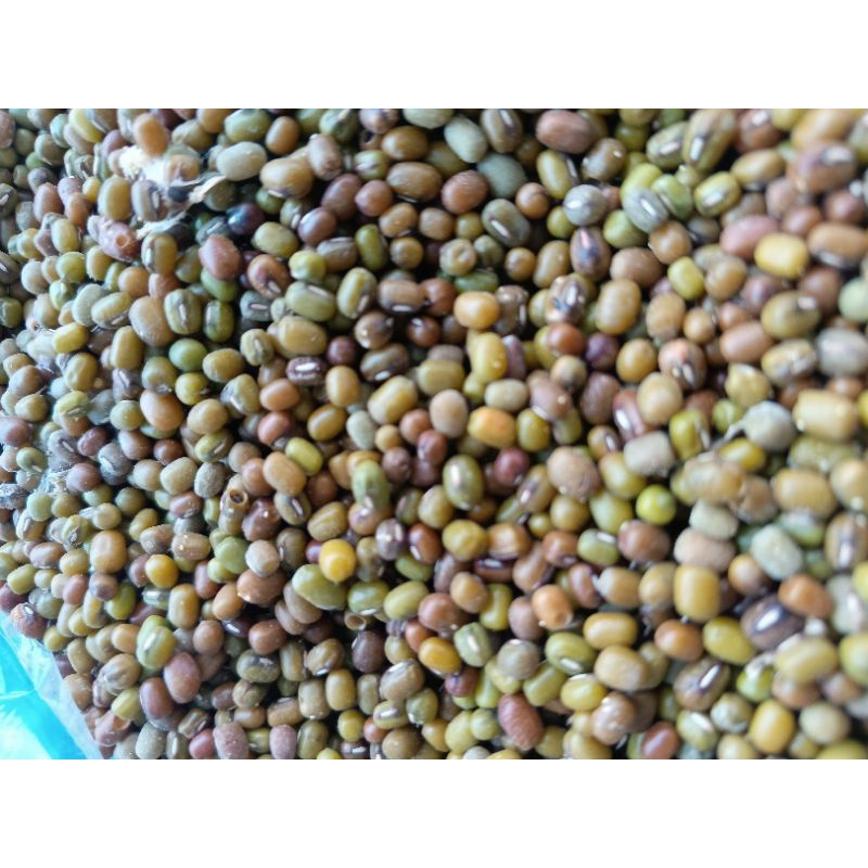 

kacang hijau 250 gram
